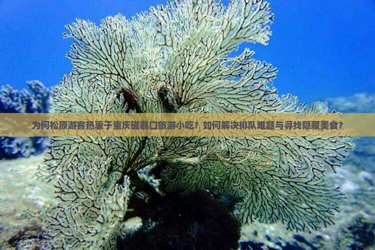 为何松原游客热衷于重庆磁器口旅游小吃？如何解决排队难题与寻找隐藏美食？