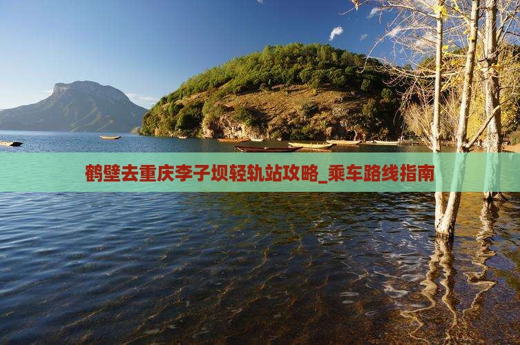 鹤壁去重庆李子坝轻轨站攻略_乘车路线指南