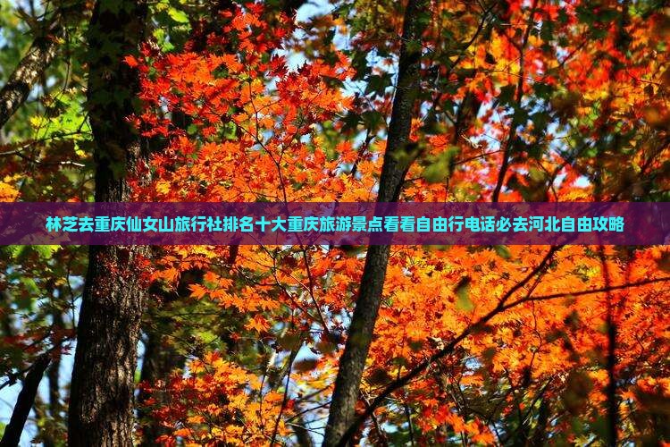 林芝去重庆仙女山旅行社排名十大重庆旅游景点看看自由行电话必去河北自由攻略