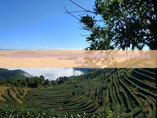 林芝去重庆仙女山旅行社排名十大重庆旅游景点看看自由行电话必去河北自由攻略