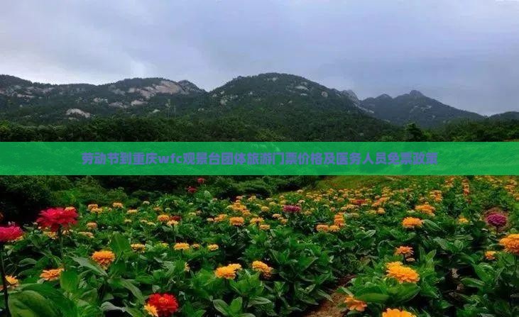 劳动节到重庆wfc观景台团体旅游门票价格及医务人员免票政策