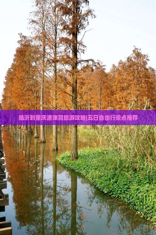 临沂到重庆渣滓洞旅游攻略|五日自由行景点推荐