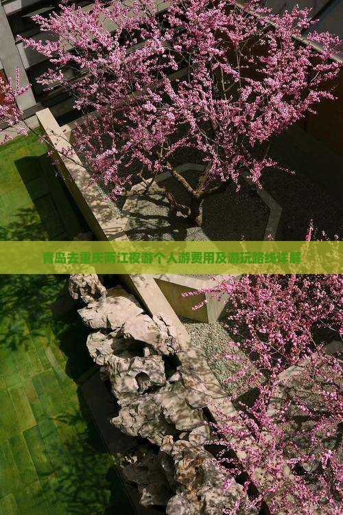 青岛去重庆两江夜游个人游费用及游玩路线详解