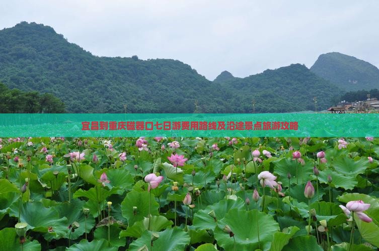 宜昌到重庆磁器口七日游费用路线及沿途景点旅游攻略