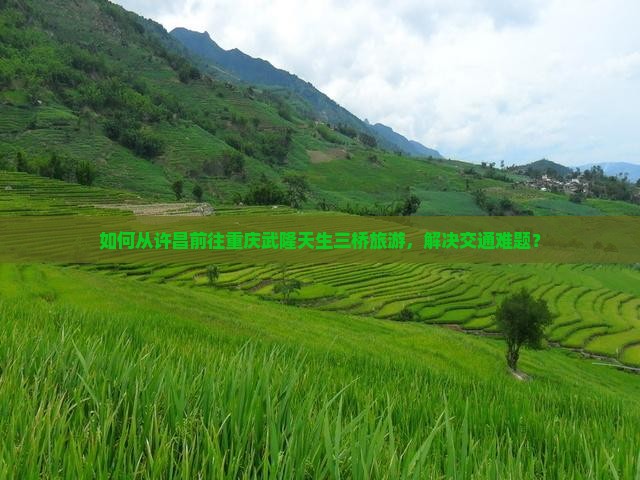 如何从许昌前往重庆武隆天生三桥旅游，解决交通难题？
