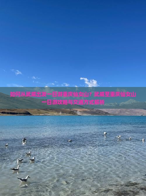 如何从武威出发一日游重庆仙女山？武威至重庆仙女山一日游攻略与交通方式解析