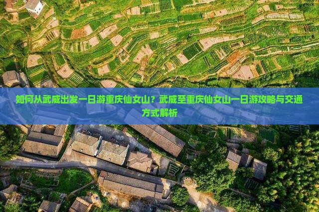 如何从武威出发一日游重庆仙女山？武威至重庆仙女山一日游攻略与交通方式解析
