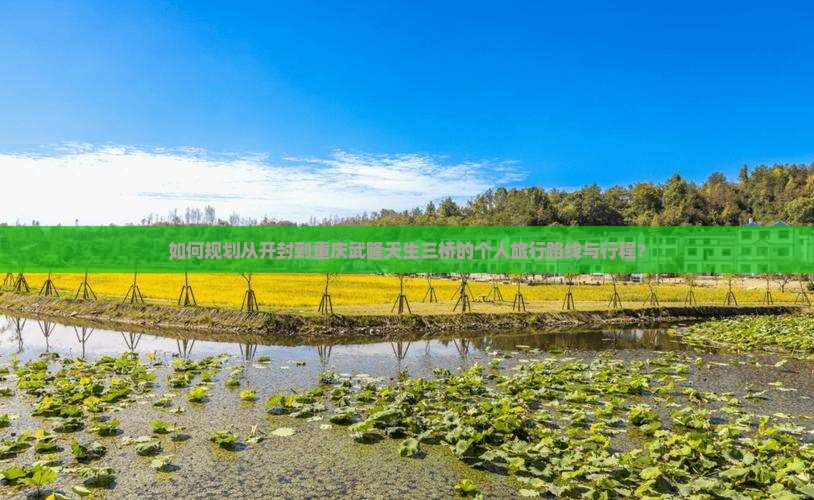 如何规划从开封到重庆武隆天生三桥的个人旅行路线与行程？