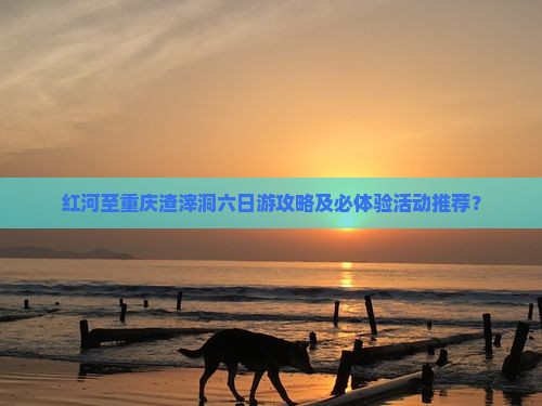 红河至重庆渣滓洞六日游攻略及必体验活动推荐？