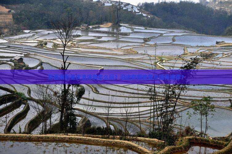 黔西南到重庆渣滓洞怎么玩？沿途有哪些景点值得推荐？