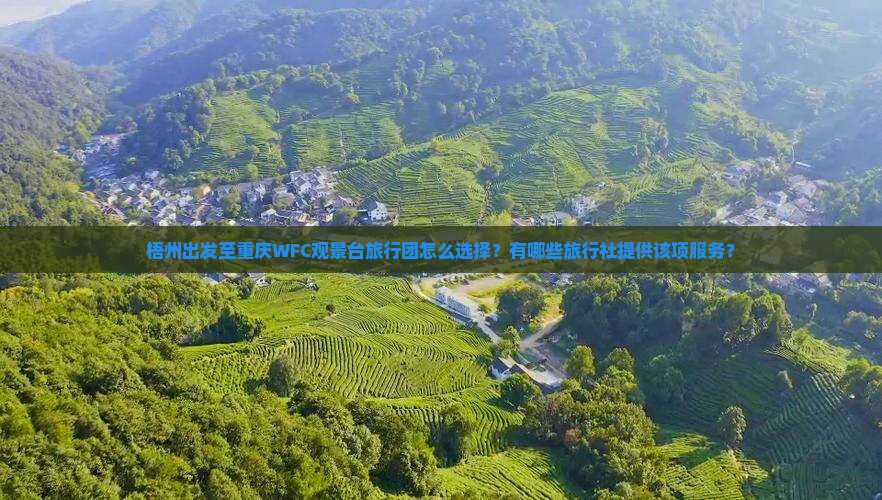梧州出发至重庆WFC观景台旅行团怎么选择？有哪些旅行社提供该项服务？