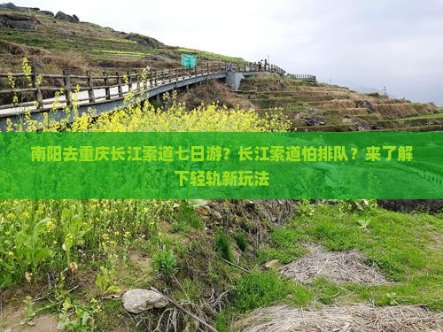 南阳去重庆长江索道七日游？长江索道怕排队？来了解下轻轨新玩法