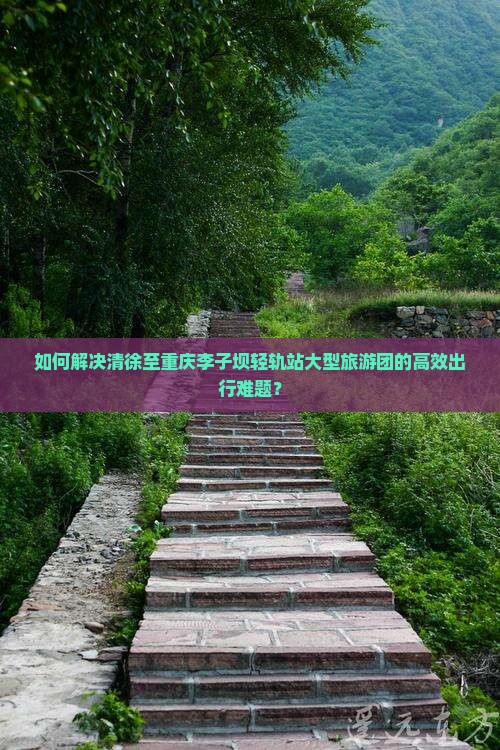 如何解决清徐至重庆李子坝轻轨站大型旅游团的高效出行难题？