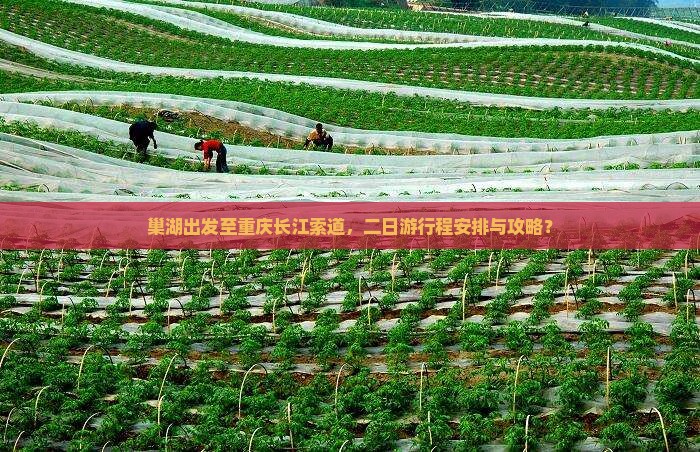 巢湖出发至重庆长江索道，二日游行程安排与攻略？