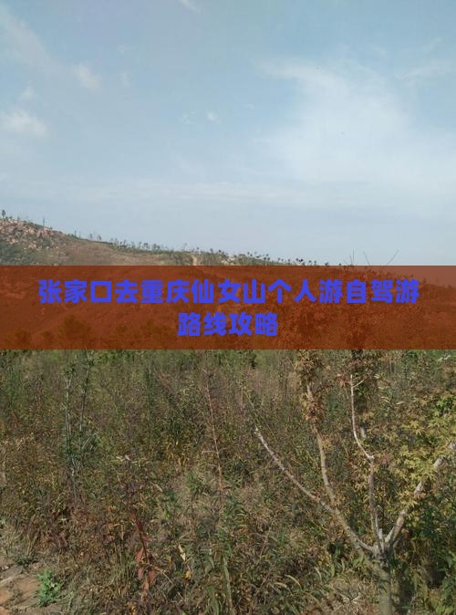 张家口去重庆仙女山个人游自驾游路线攻略