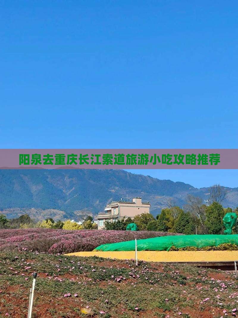阳泉去重庆长江索道旅游小吃攻略推荐