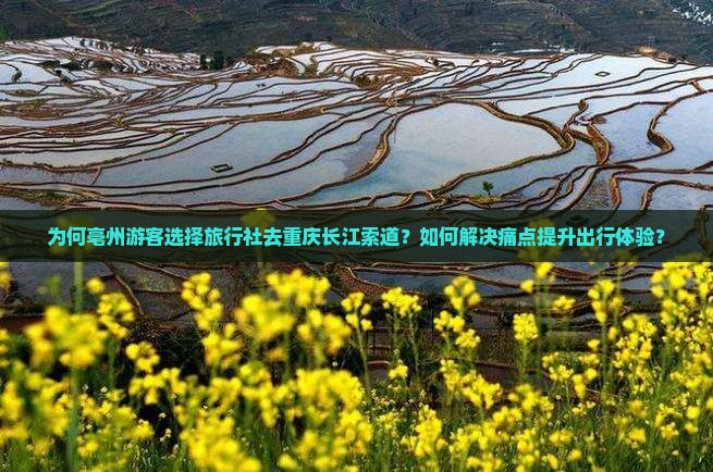 为何亳州游客选择旅行社去重庆长江索道？如何解决痛点提升出行体验？