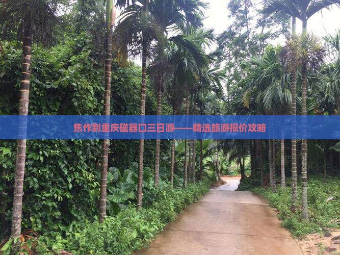 焦作到重庆磁器口三日游——精选旅游报价攻略