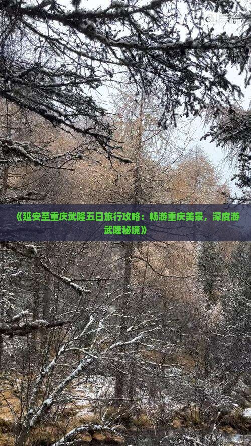 《延安至重庆武隆五日旅行攻略：畅游重庆美景，深度游武隆秘境》