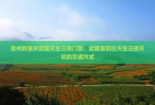 泉州到重庆武隆天生三桥门票，武隆县前往天生三桥天坑的交通方式