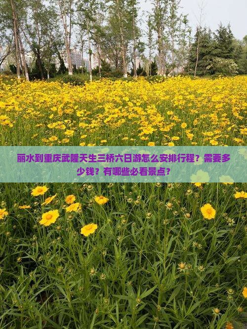 丽水到重庆武隆天生三桥六日游怎么安排行程？需要多少钱？有哪些必看景点？