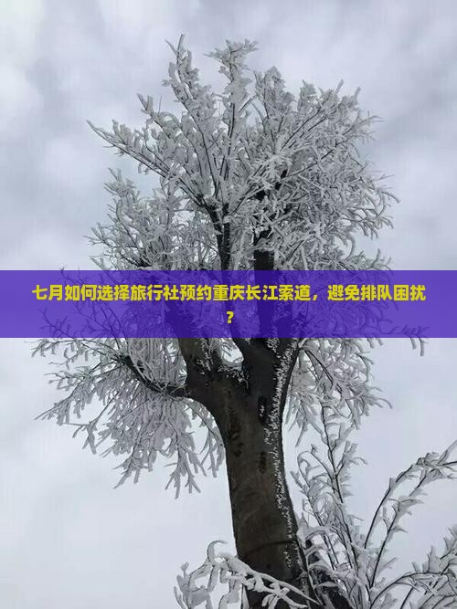 七月如何选择旅行社预约重庆长江索道，避免排队困扰？