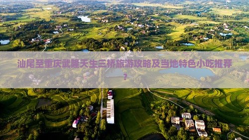 汕尾至重庆武隆天生三桥旅游攻略及当地特色小吃推荐？