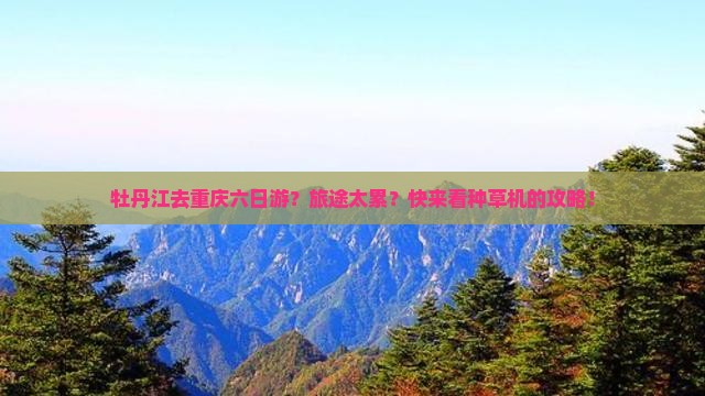 牡丹江去重庆六日游？旅途太累？快来看种草机的攻略！