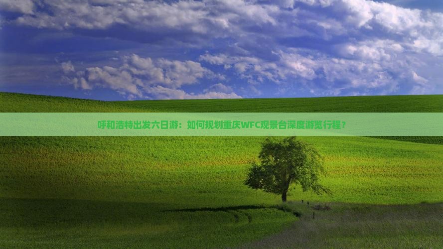 呼和浩特出发六日游：如何规划重庆WFC观景台深度游览行程？