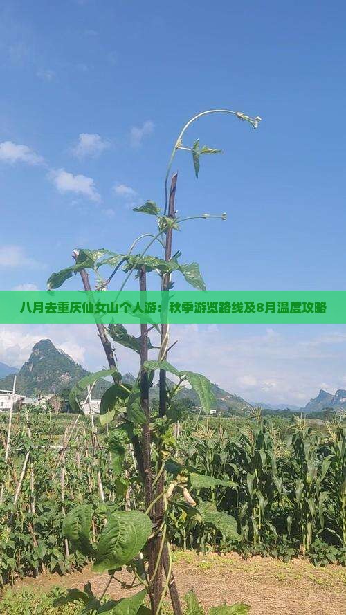 八月去重庆仙女山个人游：秋季游览路线及8月温度攻略