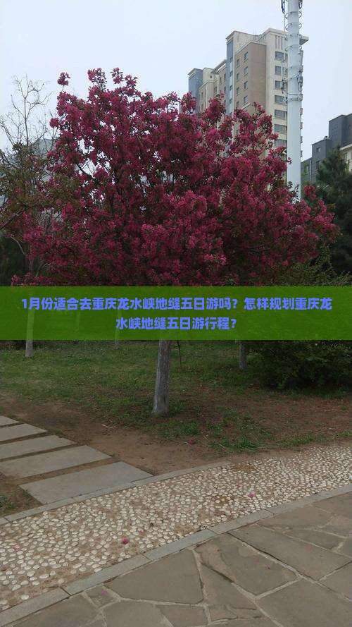 1月份适合去重庆龙水峡地缝五日游吗？怎样规划重庆龙水峡地缝五日游行程？
