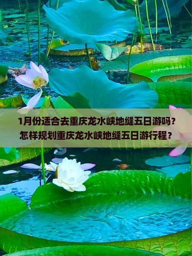 1月份适合去重庆龙水峡地缝五日游吗？怎样规划重庆龙水峡地缝五日游行程？