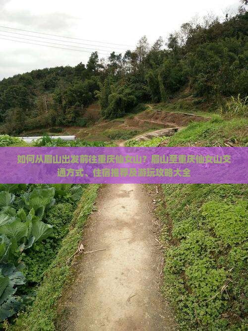 如何从眉山出发前往重庆仙女山？眉山至重庆仙女山交通方式、住宿推荐及游玩攻略大全