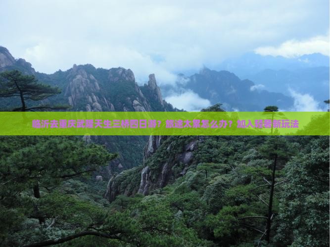 临沂去重庆武隆天生三桥四日游？旅途太累怎么办？加入轻奢新玩法