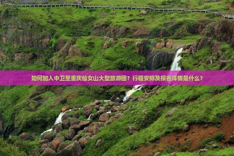 如何加入中卫至重庆仙女山大型旅游团？行程安排及报名详情是什么？