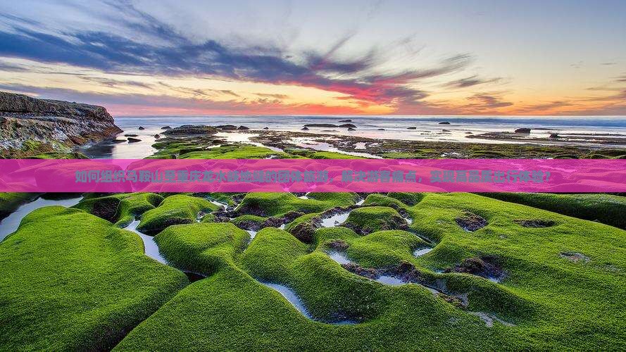 如何组织马鞍山至重庆龙水峡地缝的团体旅游，解决游客痛点，实现高品质出行体验？