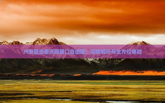 兴安盟去重庆磁器口自由团：深度解析与全方位体验