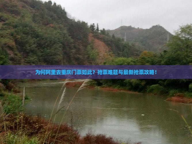 为何阿里去重庆门票如此？抢票难题与最新抢票攻略！