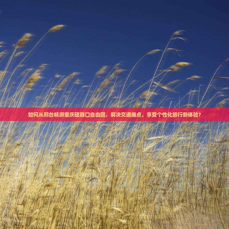 如何从邢台畅游重庆磁器口自由团，解决交通痛点，享受个性化旅行新体验？