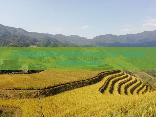 三月如何选择重庆李子坝轻轨站附近旅行社？避开痛点，抓住热词新词攻略！