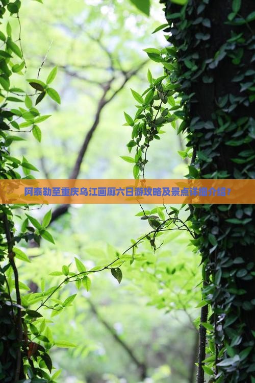阿泰勒至重庆乌江画廊六日游攻略及景点详细介绍？