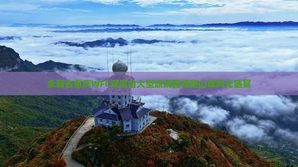永新去重庆WFC观景台大型旅游团领略山城风光盛宴