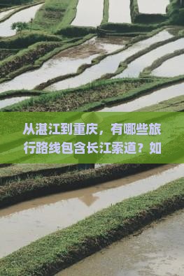 从湛江到重庆，有哪些旅行路线包含长江索道？如何安排行程更合理？
