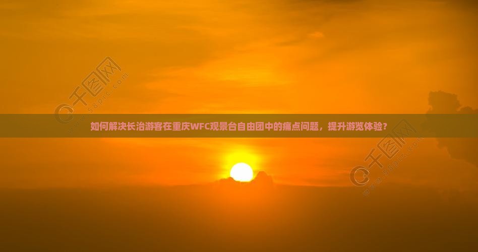 如何解决长治游客在重庆WFC观景台自由团中的痛点问题，提升游览体验？