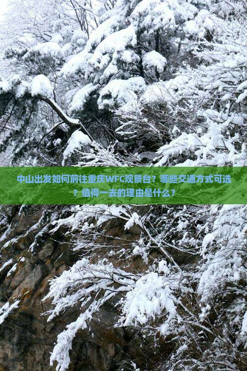 中山出发如何前往重庆WFC观景台？哪些交通方式可选？值得一去的理由是什么？