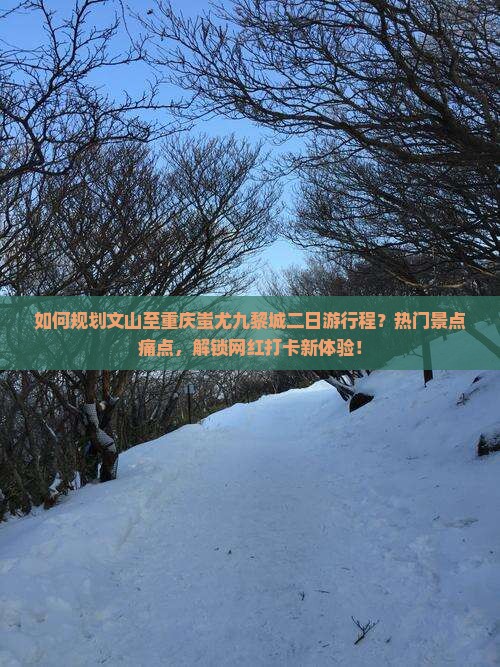 如何规划文山至重庆蚩尤九黎城二日游行程？热门景点痛点，解锁网红打卡新体验！