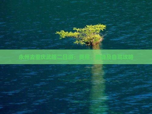 永州去重庆武隆二日游：费用、路线及自驾攻略