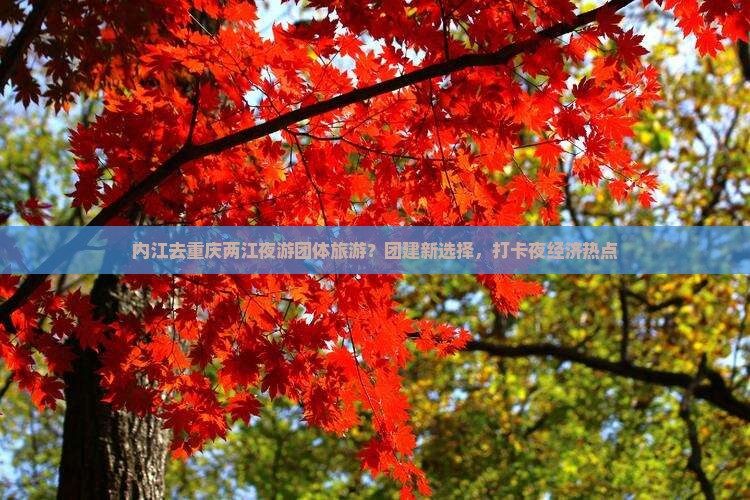 内江去重庆两江夜游团体旅游？团建新选择，打卡夜经济热点