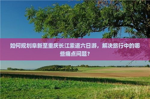 如何规划阜新至重庆长江索道六日游，解决旅行中的哪些痛点问题？