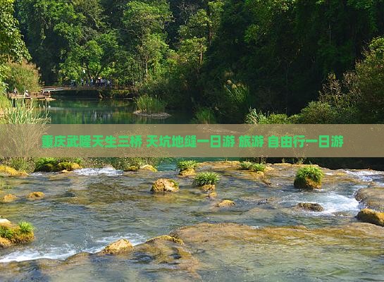 重庆武隆天生三桥+天坑地缝一日游 旅游 自由行一日游